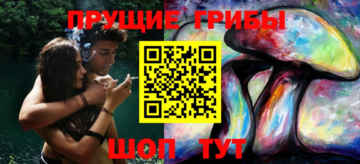 купить   Псилоцибиновые грибы Cubensis  Вход с VPN  Алушта 