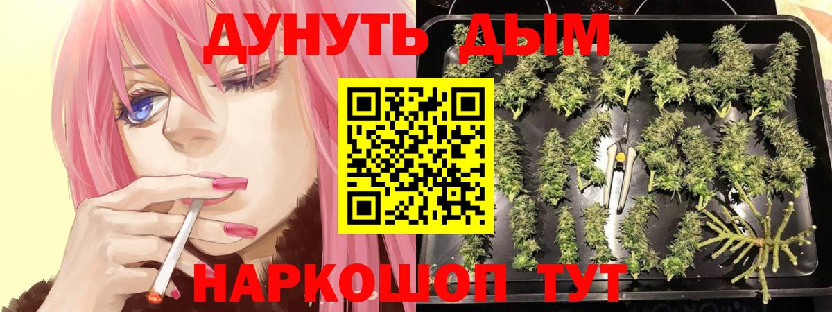Бошки марихуана ГИДРОПОН Алушта